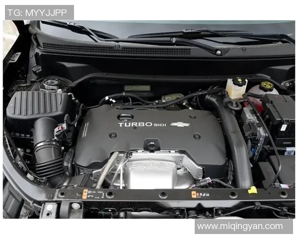 切沃与乌迪竞技场激战即将上演谁能在这场对决中笑到最后